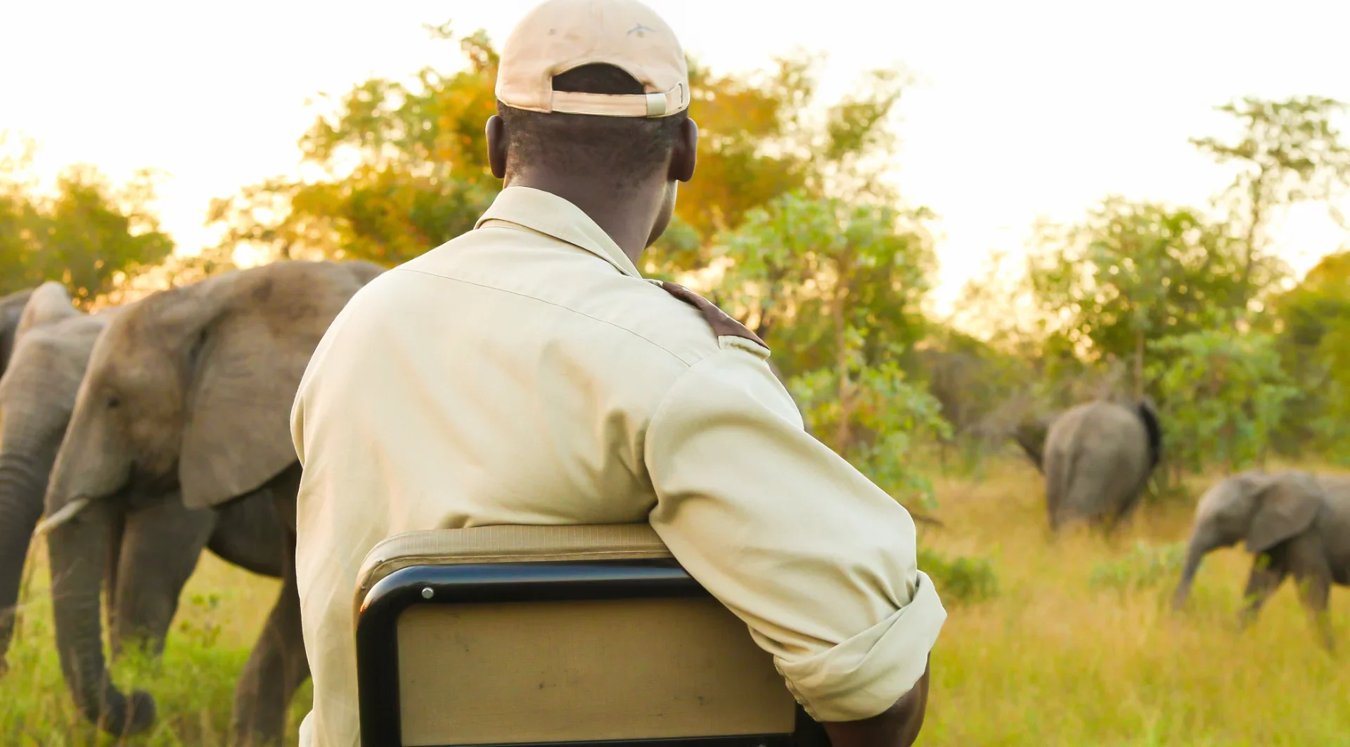 Kenya Safari Packages: How to Choose the Perfect Safari for an Unforgettable Experience